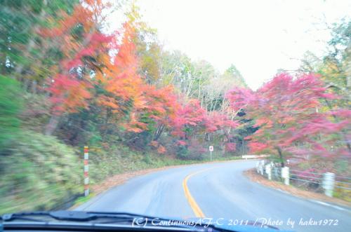 DSC_7239_0435.jpg