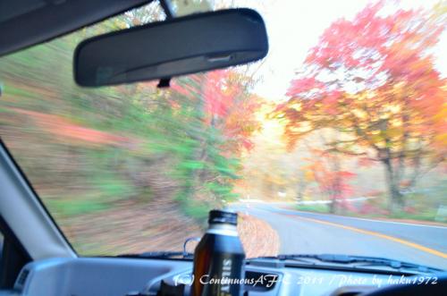 DSC_7248_0437.jpg