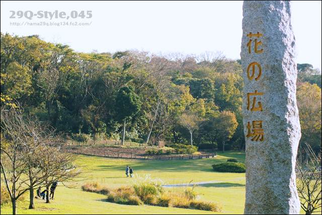 県立・観音崎公園:花の広場