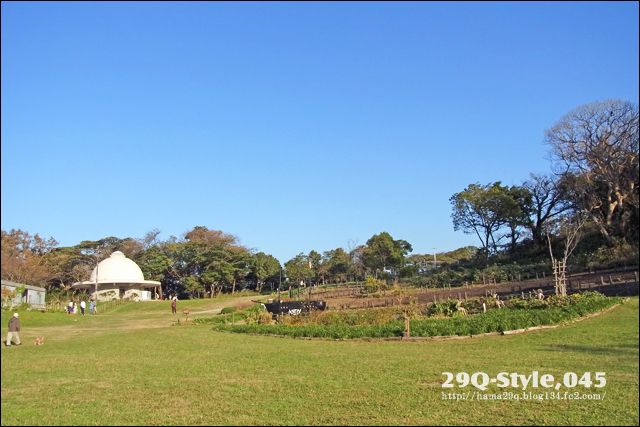 県立・観音崎公園:花の広場