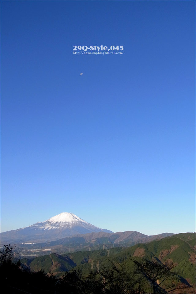 大野山乳牛育成牧場:富士山