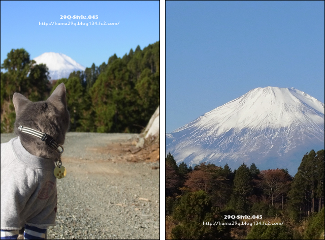 大野山・富士山：オレオ