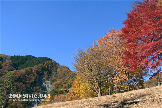 紅葉:丹沢湖