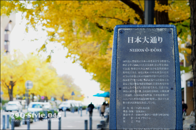 日本大通り：銀杏並木紅葉