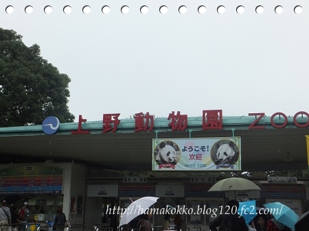 DSCF1503.jpg