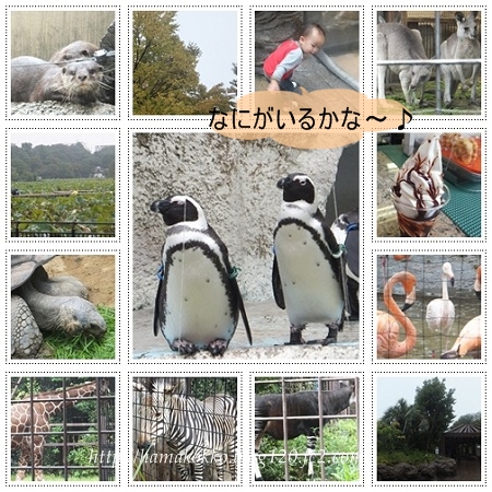 page2_20111022192340.jpg