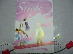 Storobo Vol.15