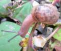 20110914-8.jpg