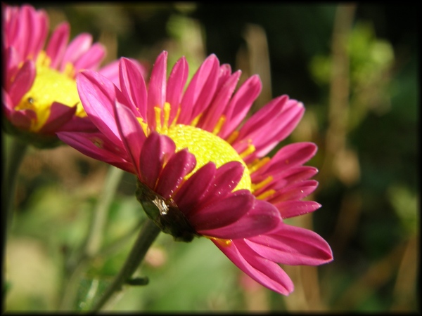 PB100073.jpg