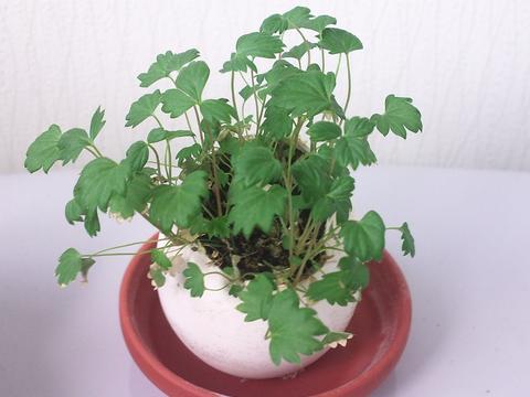 110818_wilds.jpg