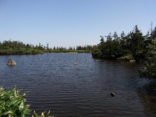 石沼