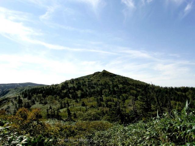 嶮岨森