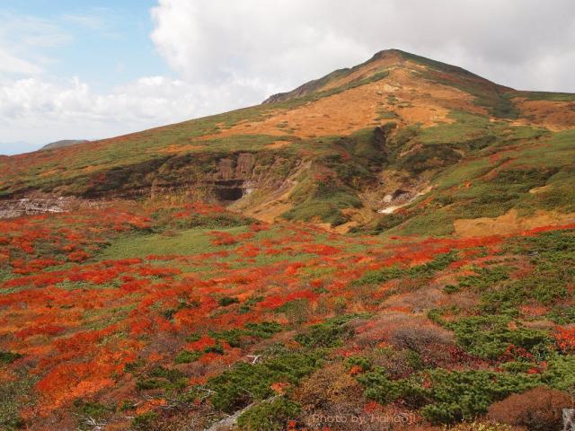 栗駒山