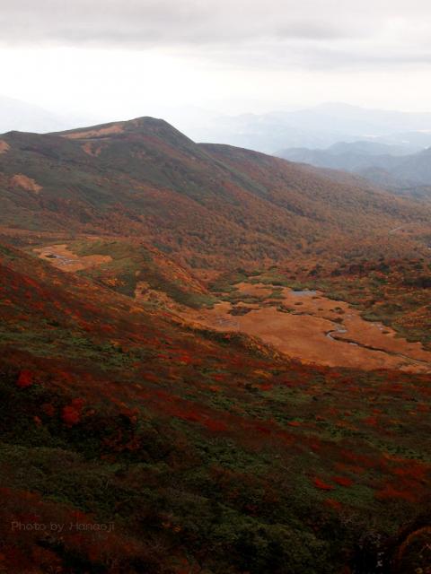 秣岳と龍泉ヶ原湿原
