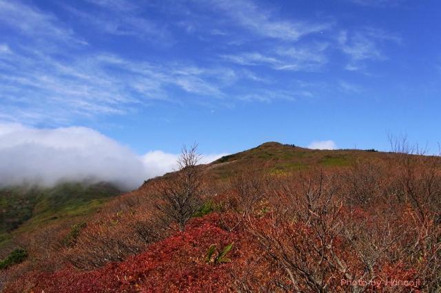 赤面山の山頂へ