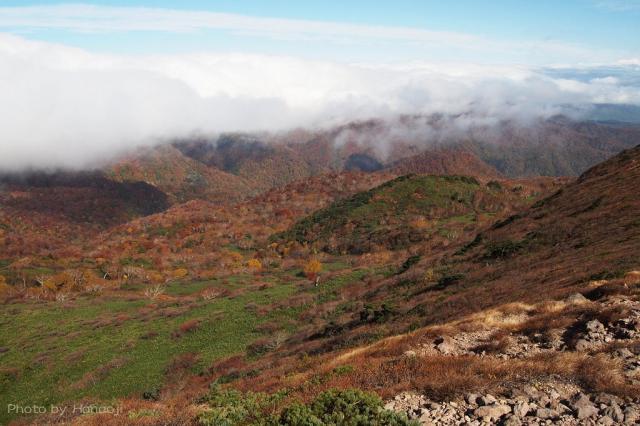 赤面山の北斜面