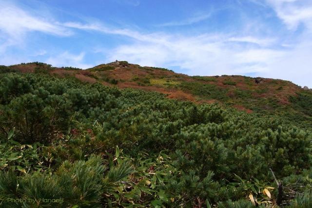ガレ場の登山道