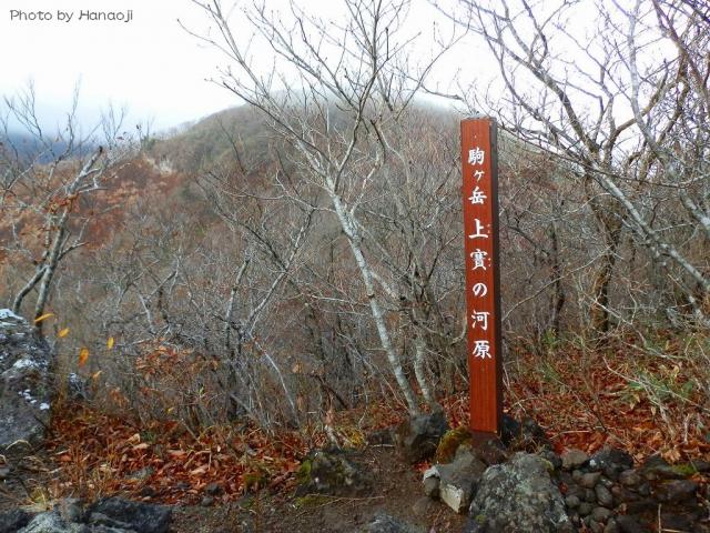 上賽の河原