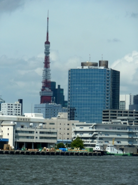 P1160364.jpg