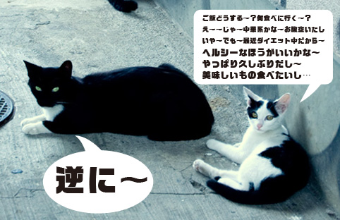 a0008_000319.jpg
