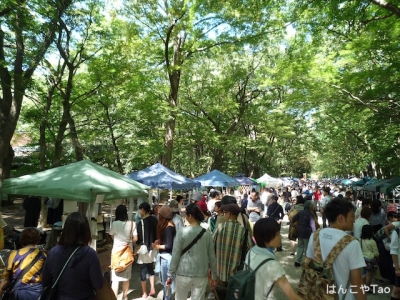 P1090902blog.jpg