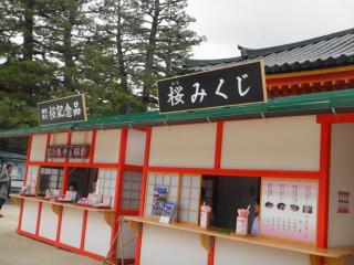 DSC03134.jpg
