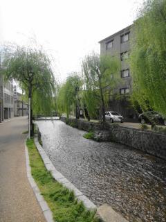 DSC03137.jpg