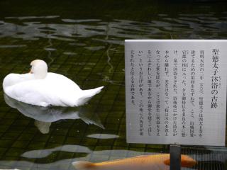 P1000141.jpg