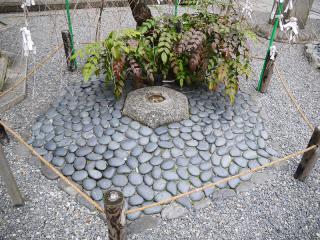 P1000142.jpg