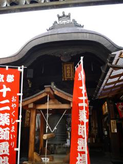 P1000156.jpg