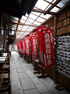 P1000159.jpg