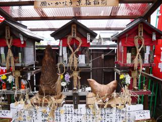 P1000160.jpg
