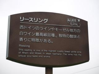 w4.jpg