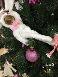 20141213_4.jpg