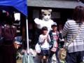 凛々しい猫