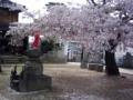 お地蔵様と桜