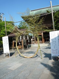 P1080121.jpg
