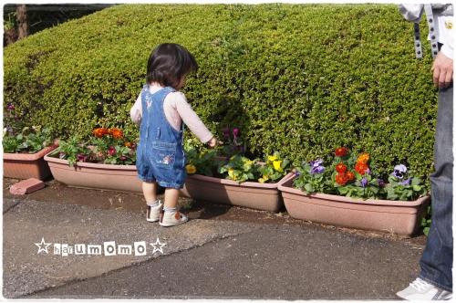 変更10.25.4