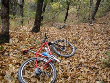 DSC04729.jpg