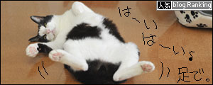 banner140927-.jpg