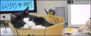 banner141008-.jpg