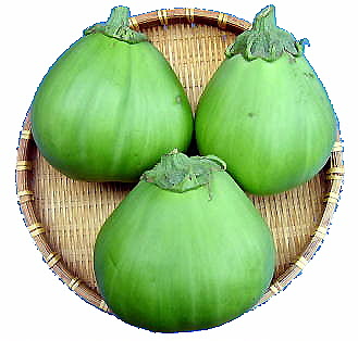 aonasu01.jpg
