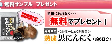 医食同源、健康パワーの源【にんにく】の無料・サンプル