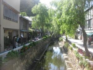 IMG_5249.jpg