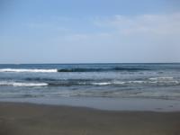 IMG_5270.jpg