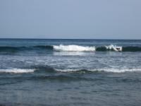 IMG_5272.jpg