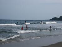 IMG_5273.jpg