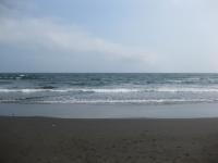IMG_5518.jpg
