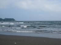 IMG_5520.jpg