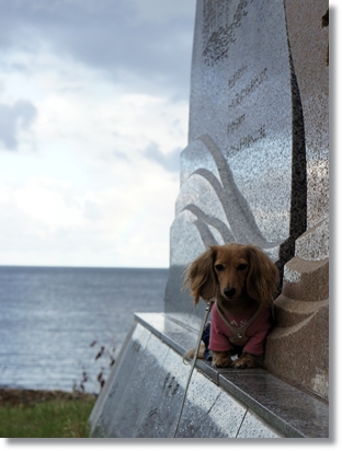 110924_14.jpg